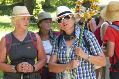Fußwallfahrt zum Sonntagberg - Samstag, 4. Juli 2015