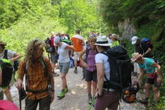 Fußwallfahrt zum Sonntagberg - Samstag, 4. Juli 2015