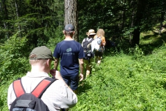 Fußwallfahrt zum Sonntagberg - Samstag, 4. Juli 2015