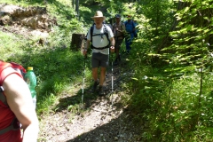 Fußwallfahrt zum Sonntagberg - Samstag, 4. Juli 2015