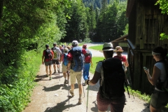 Fußwallfahrt zum Sonntagberg - Samstag, 4. Juli 2015