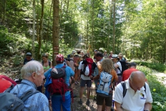 Fußwallfahrt zum Sonntagberg - Samstag, 4. Juli 2015