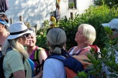 Fußwallfahrt zum Sonntagberg - Sonntag, 5. Juli 2015