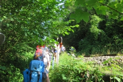 Fußwallfahrt zum Sonntagberg - Sonntag, 5. Juli 2015