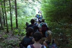 Fußwallfahrt zum Sonntagberg - Sonntag, 5. Juli 2015