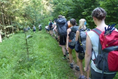 Fußwallfahrt zum Sonntagberg - Sonntag, 5. Juli 2015