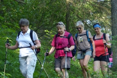 Fußwallfahrt zum Sonntagberg - Sonntag, 5. Juli 2015