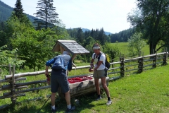 Fußwallfahrt zum Sonntagberg - Sonntag, 5. Juli 2015