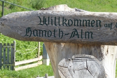 Fußwallfahrt zum Sonntagberg - Sonntag, 5. Juli 2015
