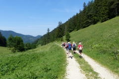 Fußwallfahrt zum Sonntagberg - Sonntag, 5. Juli 2015
