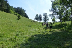 Fußwallfahrt zum Sonntagberg - Sonntag, 5. Juli 2015