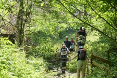 Fußwallfahrt zum Sonntagberg - Sonntag, 5. Juli 2015
