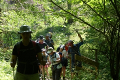 Fußwallfahrt zum Sonntagberg - Sonntag, 5. Juli 2015