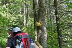 Fußwallfahrt zum Sonntagberg - Sonntag, 5. Juli 2015