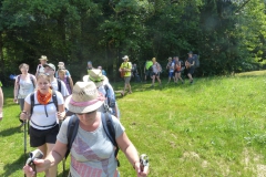 Fußwallfahrt zum Sonntagberg - Sonntag, 5. Juli 2015