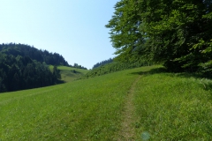 Fußwallfahrt zum Sonntagberg - Sonntag, 5. Juli 2015