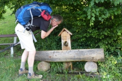 Fußwallfahrt zum Sonntagberg - Montag, 6. Juli 2015