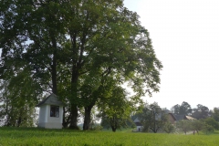 Fußwallfahrt zum Sonntagberg - Montag, 6. Juli 2015