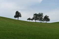 Fußwallfahrt zum Sonntagberg - Montag, 6. Juli 2015