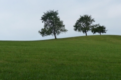 Fußwallfahrt zum Sonntagberg - Montag, 6. Juli 2015