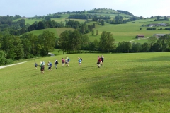 Fußwallfahrt zum Sonntagberg - Montag, 6. Juli 2015