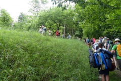 Fußwallfahrt zum Sonntagberg - Montag, 6. Juli 2015