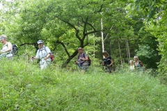 Fußwallfahrt zum Sonntagberg - Montag, 6. Juli 2015