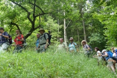 Fußwallfahrt zum Sonntagberg - Montag, 6. Juli 2015