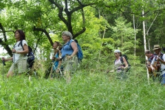 Fußwallfahrt zum Sonntagberg - Montag, 6. Juli 2015
