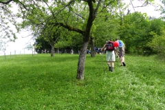 Fußwallfahrt zum Sonntagberg - Montag, 6. Juli 2015