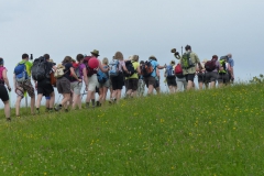 Fußwallfahrt zum Sonntagberg - Montag, 6. Juli 2015