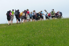 Fußwallfahrt zum Sonntagberg - Montag, 6. Juli 2015