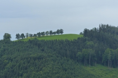 Fußwallfahrt zum Sonntagberg - Montag, 6. Juli 2015