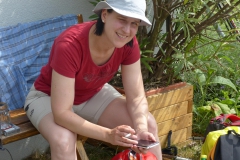 Fußwallfahrt zum Sonntagberg - Montag, 6. Juli 2015