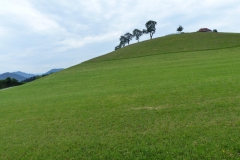 Fußwallfahrt zum Sonntagberg - Montag, 6. Juli 2015