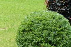 Fußwallfahrt zum Sonntagberg - Montag, 6. Juli 2015