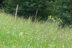 Fußwallfahrt zum Sonntagberg - Montag, 6. Juli 2015