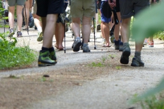 Fußwallfahrt zum Sonntagberg - Montag, 6. Juli 2015