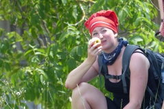 Fußwallfahrt zum Sonntagberg - Montag, 6. Juli 2015